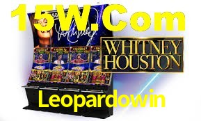 Daily Bonuses Leopardowin